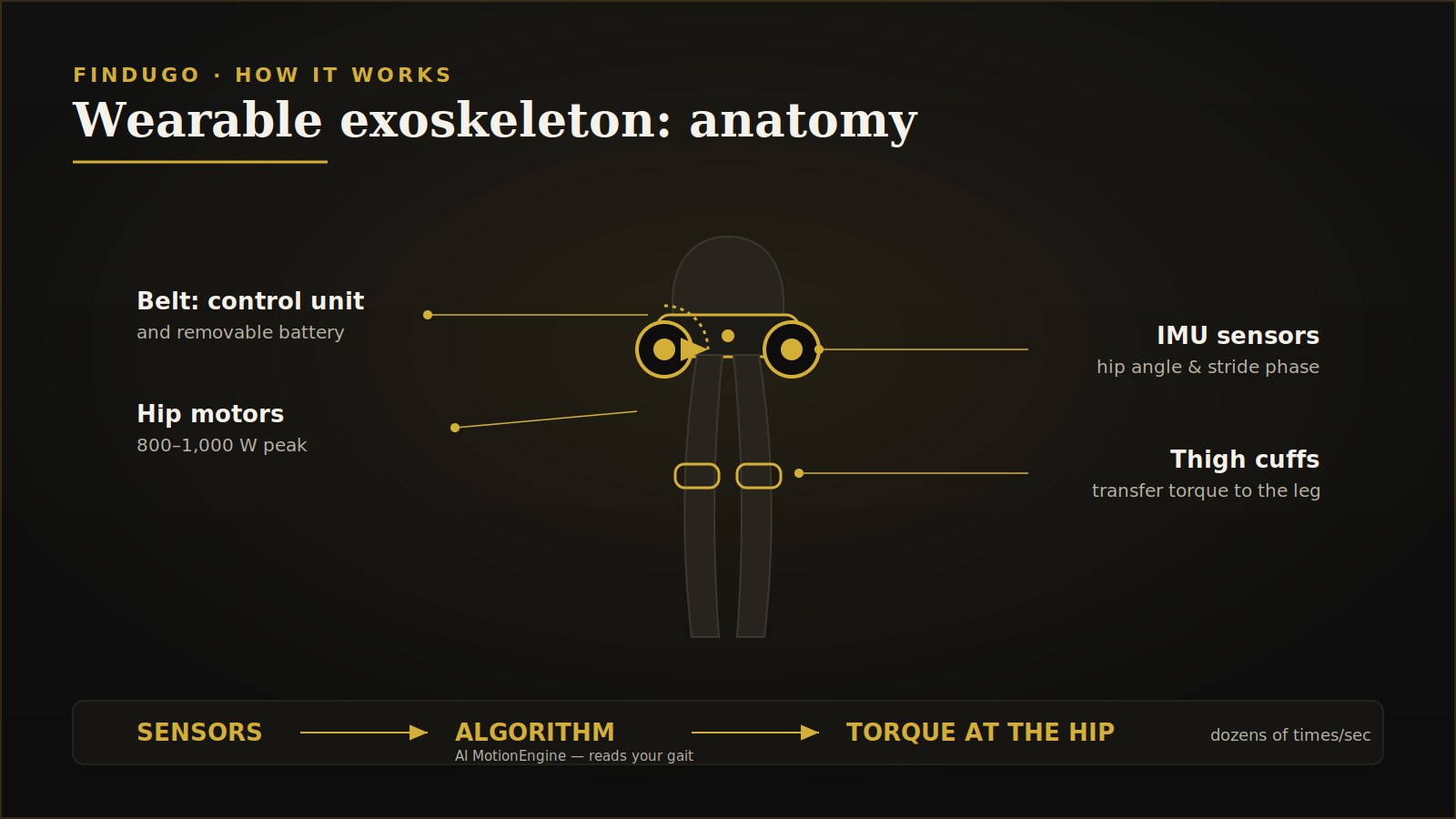 Diagram of a wearable exoskeleton: waist battery and control unit, hip motors, IMU sensors and thigh cuffs