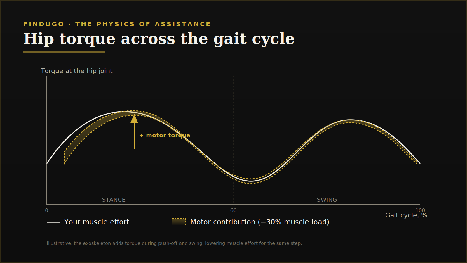 Hip torque across the gait cycle showing the motor assist contribution that lowers muscle effort
