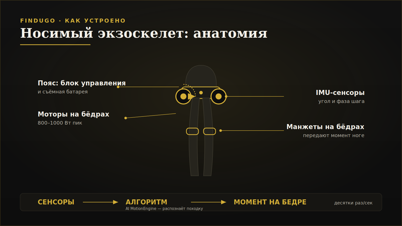 Diagram of a wearable exoskeleton: waist battery and control unit, hip motors, IMU sensors and thigh cuffs